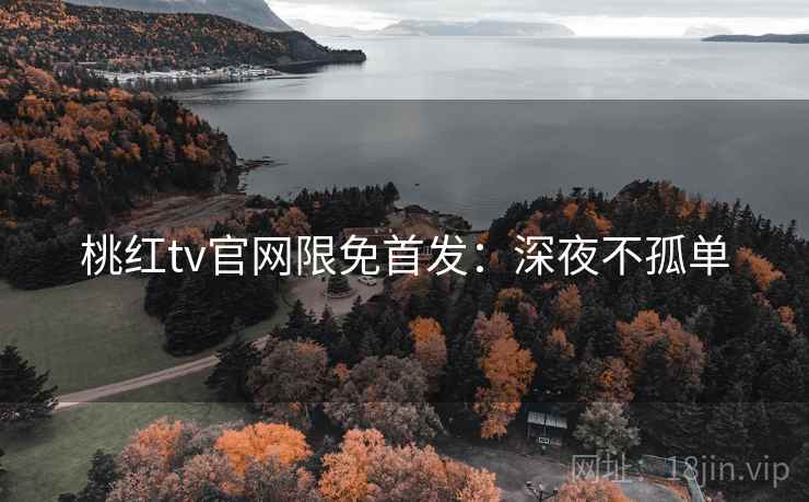 桃红tv官网限免首发：深夜不孤单