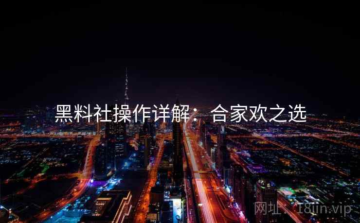 黑料社操作详解：合家欢之选