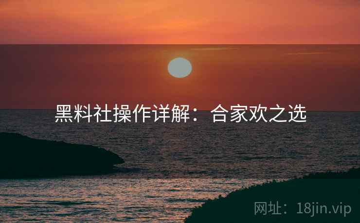 黑料社操作详解：合家欢之选