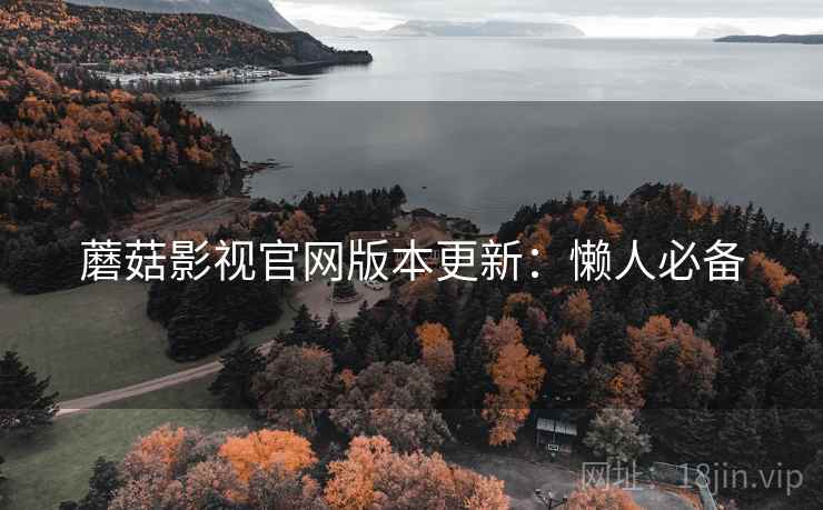 蘑菇影视官网版本更新：懒人必备