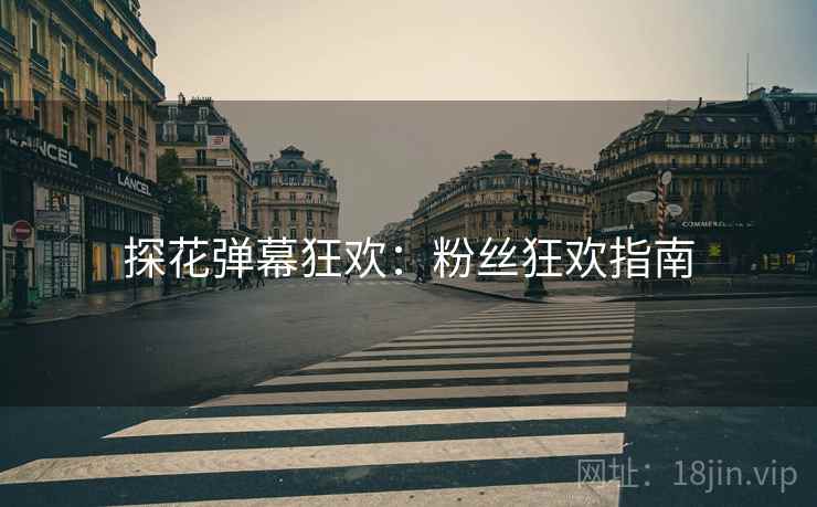 探花弹幕狂欢：粉丝狂欢指南