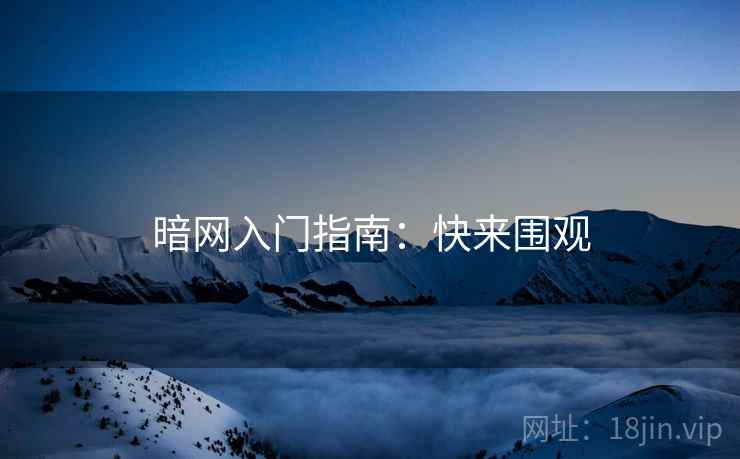 暗网入门指南：快来围观