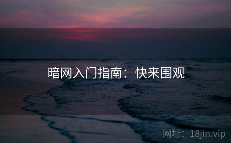 暗网入门指南：快来围观