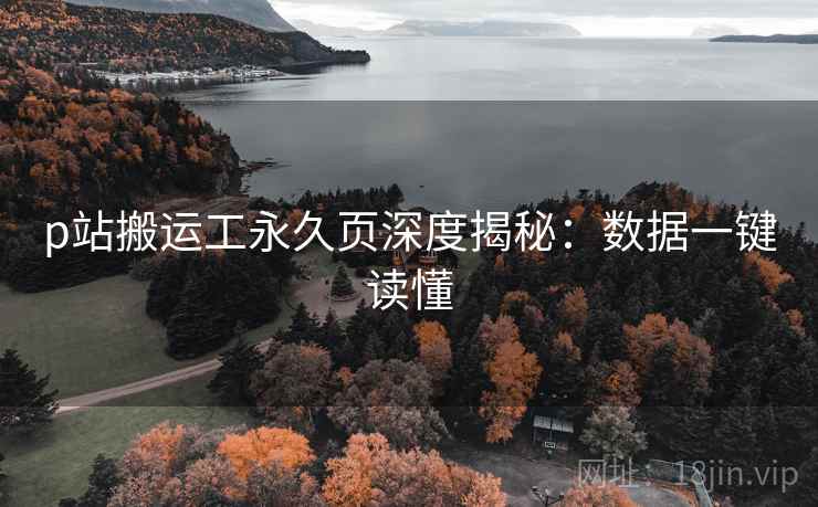 p站搬运工永久页深度揭秘：数据一键读懂