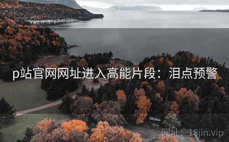 p站官网网址进入高能片段：泪点预警