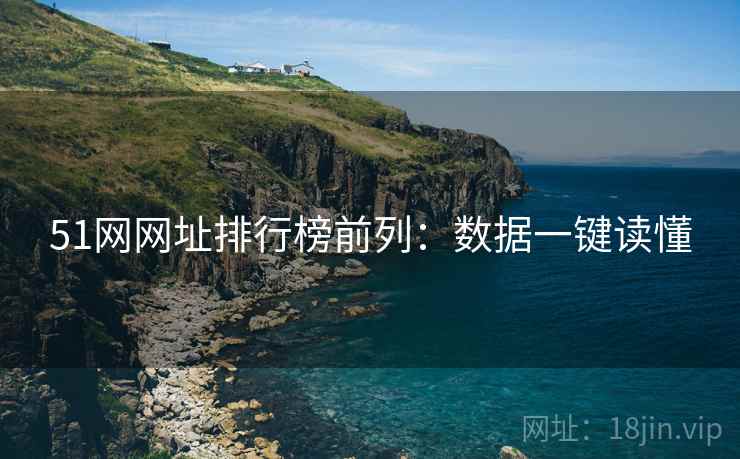 51网网址排行榜前列：数据一键读懂