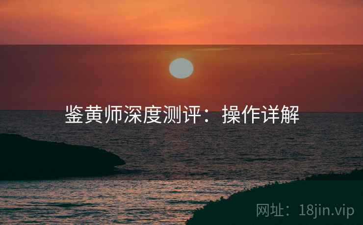 鉴黄师深度测评：操作详解