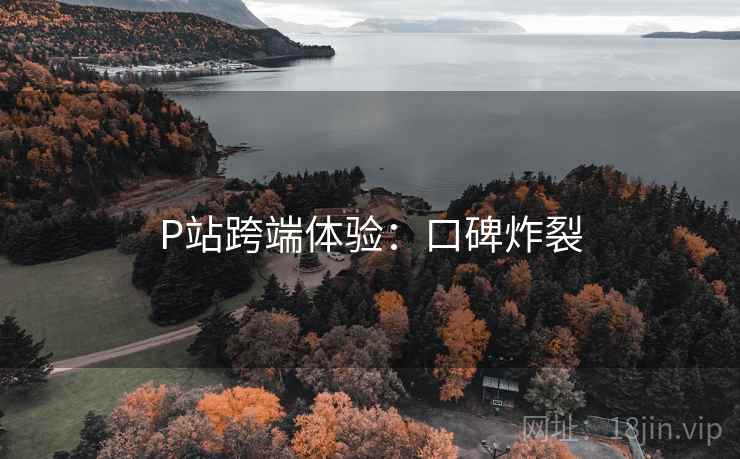P站跨端体验：口碑炸裂