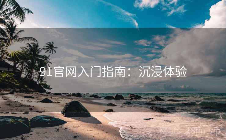 91官网入门指南：沉浸体验